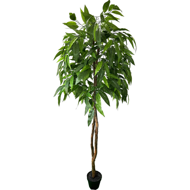 Primrue HandMade Primrue All Seasons 6'' Artificial Mango Tree Wayfair